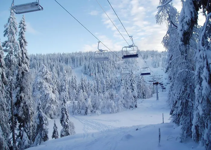 Apartment Holmenkollen Forest House Free Parking