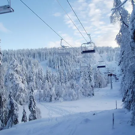 Daire Holmenkollen Forest House Free Parking
