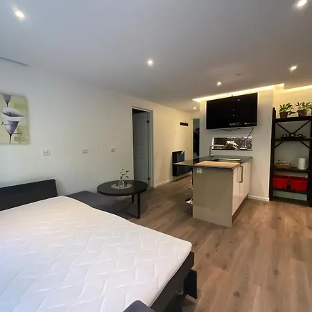 Apartment Holmenkollen Forest House Free Parking Oslo
